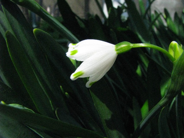 a0004023_20294459.jpg