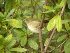 a0098027_14254731.jpg