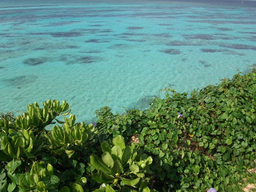 b0070127_0195421.jpg