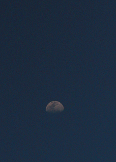 d0042827_2321080.jpg