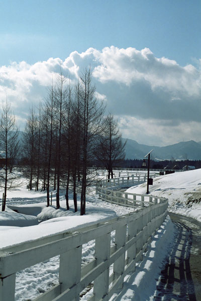 d0036630_14244959.jpg