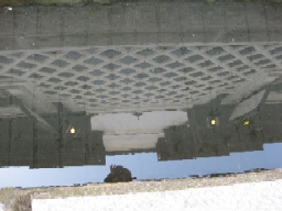 b0116933_1403093.jpg