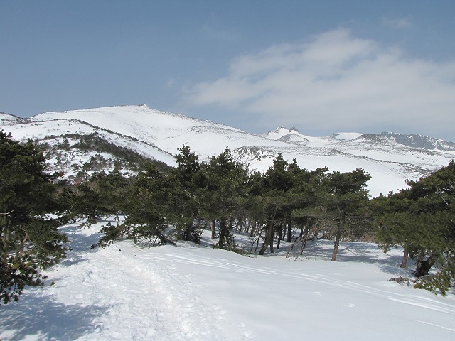 b0097836_1464296.jpg