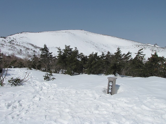 b0097836_1474854.jpg