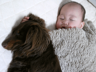 c0080038_13273395.gif
