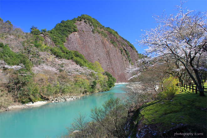 e0083238_22273915.jpg