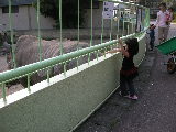 f0183939_197100.jpg