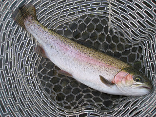 f0065341_11103535.jpg