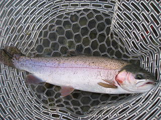 f0065341_1110508.jpg
