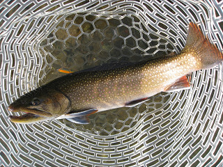 f0065341_11115515.jpg