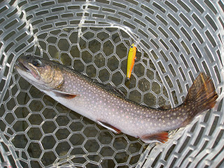 f0065341_1111740.jpg
