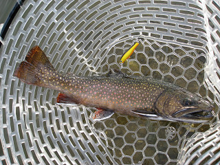 f0065341_11122930.jpg
