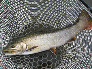 f0065341_11131382.jpg
