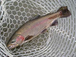 f0065341_11133842.jpg