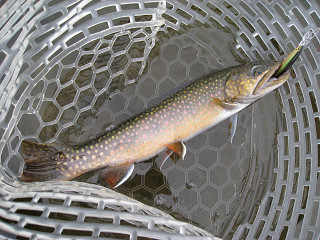 f0065341_11142844.jpg