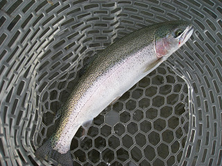 f0065341_11154843.jpg