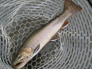 f0065341_11162087.jpg