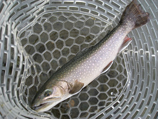 f0065341_11172949.jpg