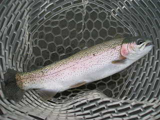 f0065341_11175074.jpg