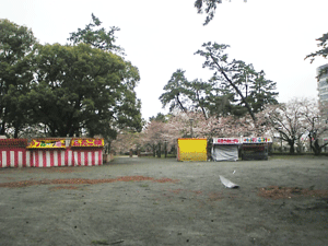 f0229250_21574624.gif
