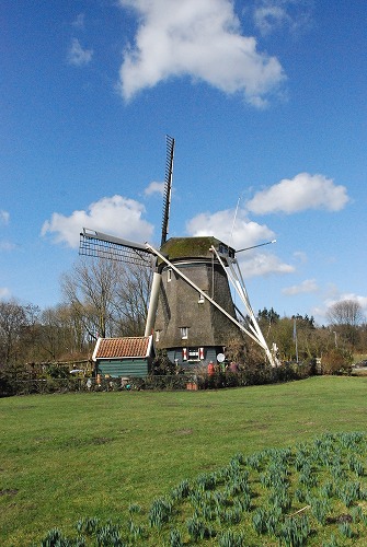 e0145753_573754.jpg