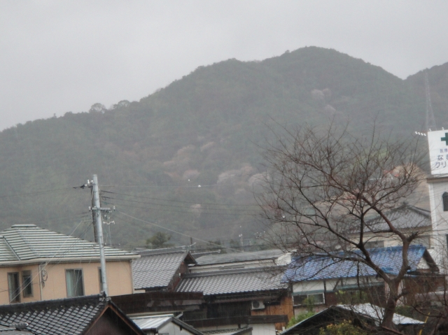c0108460_14373165.jpg