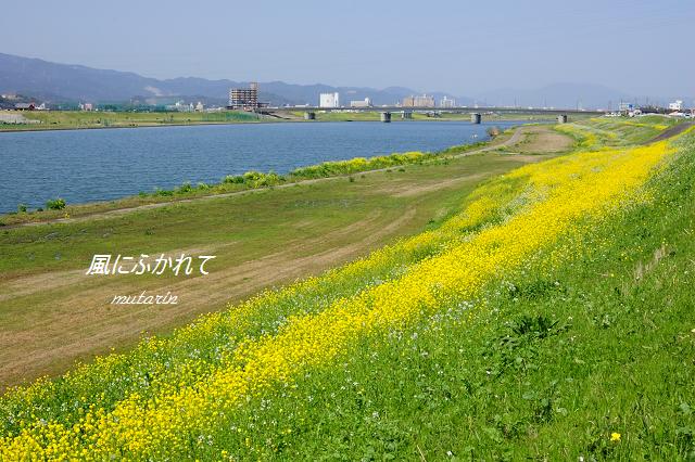 b0170969_14401127.jpg