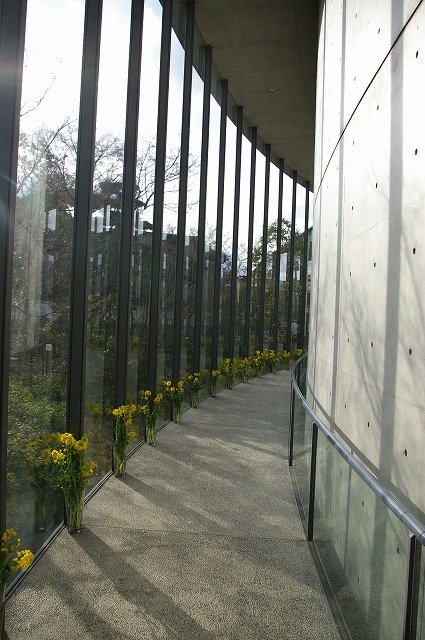 f0168478_2221631.jpg