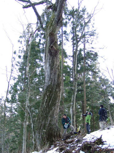 c0195281_1741668.jpg