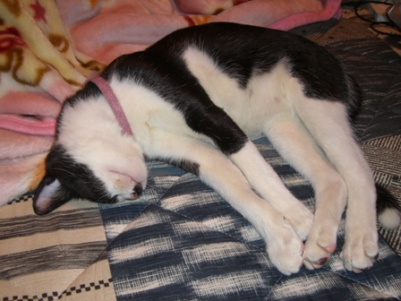 c0015882_323870.jpg