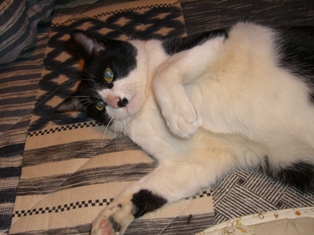 c0015882_3353126.jpg