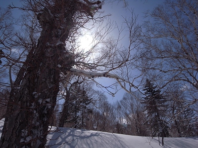 c0207986_12412235.jpg