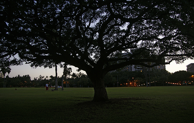 c0193887_16231726.jpg