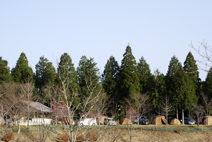 f0112087_2023031.jpg