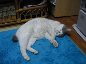 c0049489_2291422.jpg