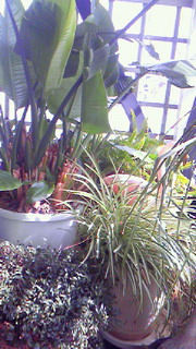 b0080090_1643023.jpg