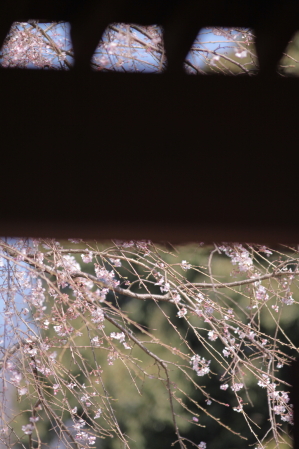 d0133693_024225.jpg