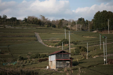 d0133693_031247.jpg