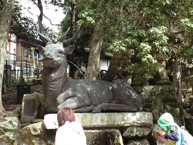 f0101794_2491991.jpg