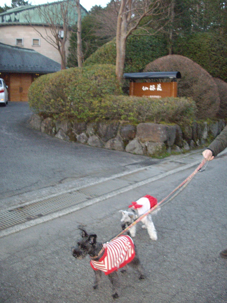 c0138198_12111850.jpg
