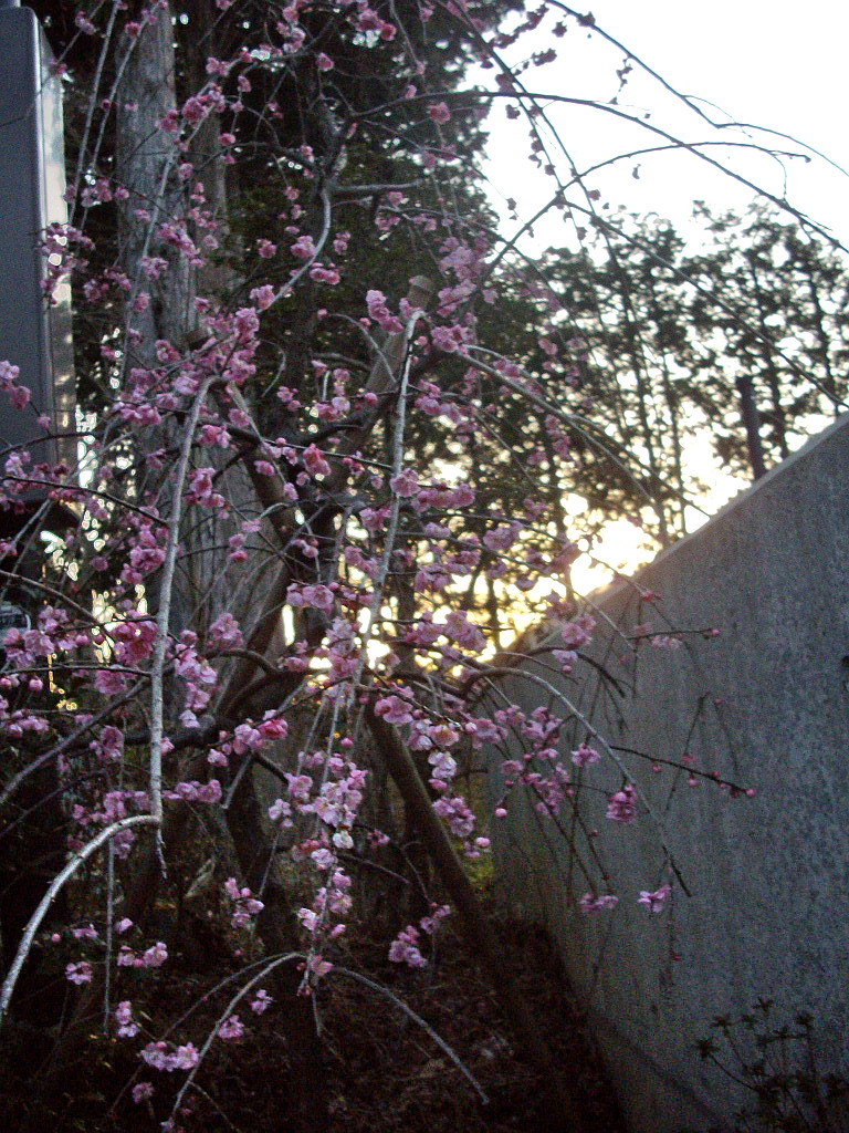 c0138198_12121294.jpg