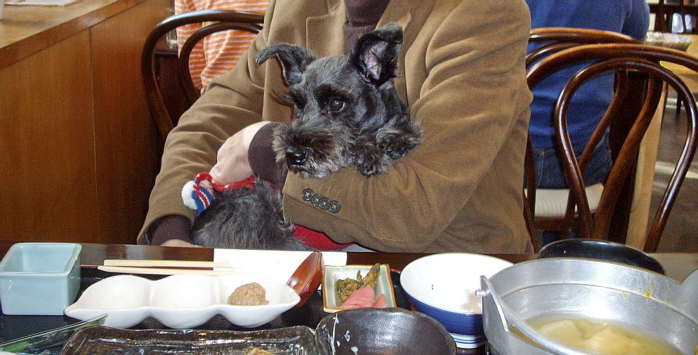 c0138198_12154668.jpg