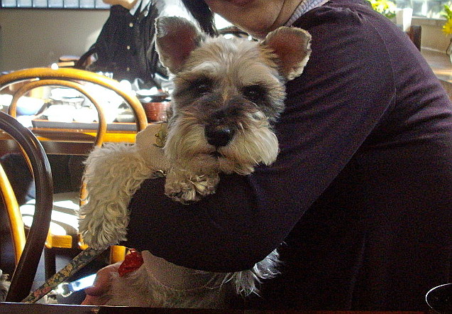 c0138198_12162482.jpg