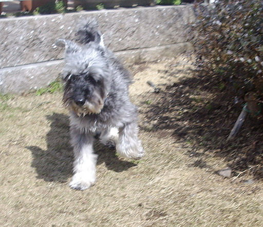 c0138198_12525769.jpg
