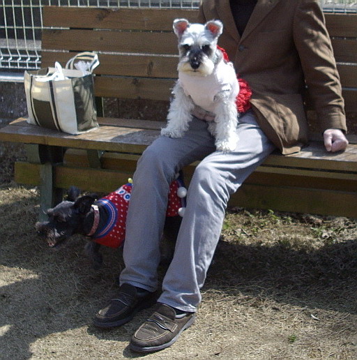 c0138198_133292.jpg