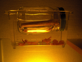 a0167801_1413310.jpg