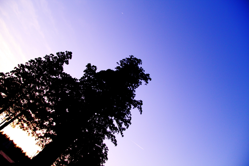 b0180907_22193355.jpg