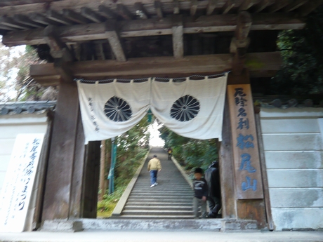 f0221708_1641052.jpg