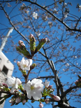 c0145209_1722553.jpg