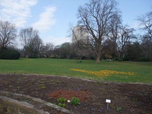 e0116315_115161.jpg